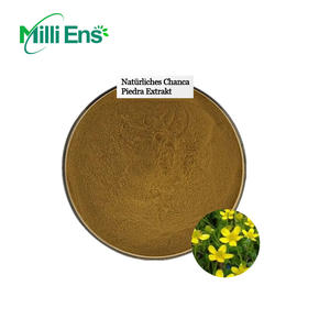 Food Grade Plant <span class=keywords><strong>Extract</strong></span> Organische Chanca Piedra <span class=keywords><strong>Extract</strong></span> 10:1 Natuurlijke Chanca Piedra <span class=keywords><strong>Extract</strong></span> Poeder - Product Image 3