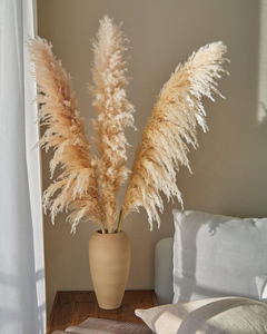 Pampa all'ingrosso decorazione di <span class=keywords><strong>erba</strong></span> fiori secchi decorazione di nozze fiori immortali oggetti di scena di tiro grande pampa <span class=keywords><strong>erba</strong></span> - Product Image 6