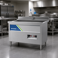 Commerciële volautomatische ozon fruit- en groentewasmachine met belletjesreiniging 100kg/u 220V voor productverwerking