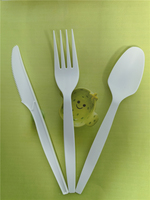 Logo personnalisé écologique jetable 4 pièces ensemble de couverts 8 pouces moderne style CPLA cuillère à soupe cuillère à thé couteau fourchettes