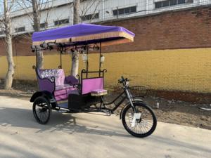 Vente directe d'usine, nouveau tricycle à 3 roues pas cher pour adultes, prix de gros le moins cher/tricycle électrique à batterie haute efficacité - Product Image 6