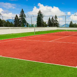 テニスコート、パデルコート用のバスケットボール人工芝耐久性人工芝カーペット
