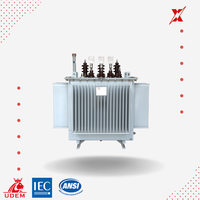 Transformateur redresseur triphasé immergé dans l'huile de cuivre 20 kV pour application industrielle
