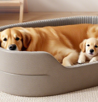 Nichoir pour chien prêt à l'emploi, adapté à toutes les saisons, niche pour chat, lit pour animaux de compagnie, grand lit pour chien, tapis rafraîchissant type canapé, pour petit chien Teddy