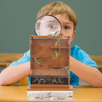 Jouets éducatifs en médecine des plantes de la Nature, Kit scientifique de visualisation des racines pour enfants, jouet de croissance des plantes pour enfants