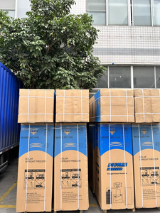 <span class=keywords><strong>Zambia</strong></span>家庭用高性能持続可能な24VDC 198L 11棚ソーラー直立冷凍庫完全セットシステム - Product Image 6