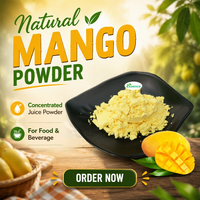 Natuurlijk mangofruitpoeder, mangosapconcentraatpoeder, mangopoeder