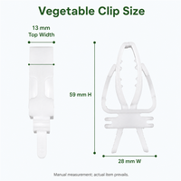 Accessoires pour cage à oiseaux : Pinces à légumes en plastique durables, fourchettes à fruits anti-déchirure, plateaux légers et réutilisables pour petits oiseaux et perroquets