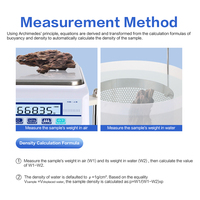 Balance hydrostatique numérique de précision 5000g/0.1g pour la mesure de la densité du béton et de l'asphalte, en plastique ABS, garantie 1 an