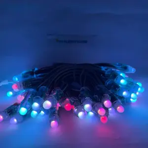 DIY Ws2811 WS2812 Rgb Smart Addressable Lights Price Led For Sale Module Animation Mapping Control Ambient Lighting Pixel Light