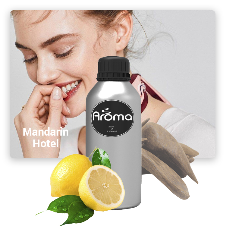 Ароматизатор для эфирных масел для гостиниц AR6137