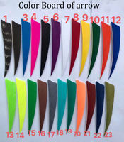 Plumes de flèche AC8 véritablement teintées pour tir à l'arc, plumes de dindon pour fabrication de flèches DIY, accessoires pour tir à l'arc, chasse et tir sur cible
