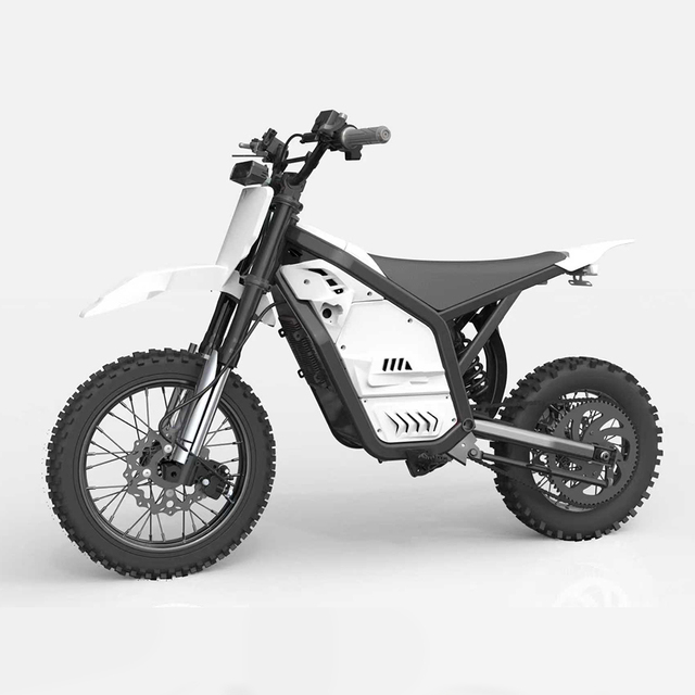 Full Suspension 3000W 60km/h  Long Range Electric Bike 48V 20.8ah Steel  Frame Electric Dirt Bike