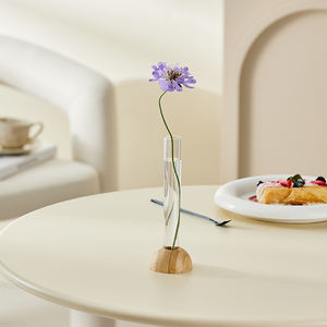 थोक प्रीमियम सुरुचिपूर्ण सजावट लकड़ी के प्लास्टिक बांस भोजन तालिका अध्ययन कार्यालय फूल हरे पौधों के लिए - Product Image 2