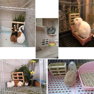 Conejo de heno de Rack de madera <span class=keywords><strong>en</strong></span> pared Hay pesebre para mascotas pequeñas conejo <span class=keywords><strong>Chinchilla</strong></span> cerdos de Guinea - Product Image 6