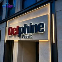 Enseigne LED 3D rétroéclairée en acier inoxydable sur mesure de qualité supérieure avec prise secteur pour l'image de marque des entreprises et des commerces (maison et bureau)