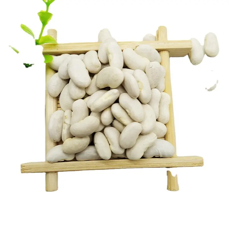 Large White Kidney Beans Natural Extract Hot Selling New Crop big White Kidney Beans Bulk Factory Price