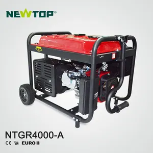 Electric or Manual Stater Available Gasoline Generator 3kw