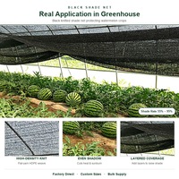 Zwaarwegend HDPE warp gebreid UV-bestendig schaduwnet voor landbouwkassen, meloen- en fruitteeltbescherming, schaduwrol
