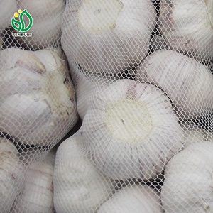 Exportadores de ajo Suministro de China Ajo natural Ails/Ajo/Alho 4,5 cm-6,5 cm Embalado por cartón/bolsa Calidad de exportación - Product Image 2