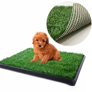 Tapis de pelouse artificiel, tapis pour animaux de compagnie