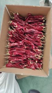 Gran precio de exportación, pimiento rojo <span class=keywords><strong>seco</strong></span> dulce, <span class=keywords><strong>guindilla</strong></span>, vainas largas de pimentón con tallo, Importadores De <span class=keywords><strong>Chile</strong></span> Rojo <span class=keywords><strong>Seco</strong></span> - Product Image 4