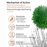 Exfoliant Cutané aux Algues Spongilla – Traitement Peeling aux Algues – Crème Visage Renouvelante Bio Microneedling aux Spicules d'Éponge Forte