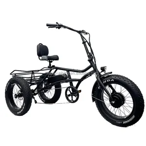 Lantu Ebike OEMサプライヤー3輪大人用電動トライクカーゴバイク