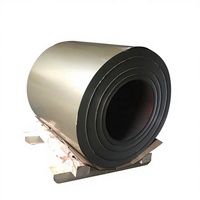 Bobine d'acier laminé à froid prélaqué SGCC couleur personnalisée pour panneaux d'appareils électroménagers