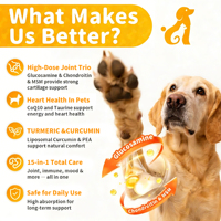 Incroyable Curcuma pour Chiens : Antioxydant Naturel pour Animaux, Élimine les Douleurs Articulaires et l'Inflammation, Soutien Immunitaire Naturel pour Chiens et Chats
