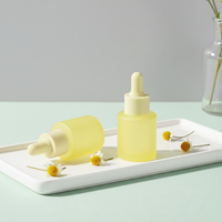 Botol Tetes Kaca Kosong Grosir dengan Tutup Ulir dan Permukaan Frosting, Cetak Warna Kustom untuk Perawatan Kulit
