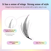 Extensions de cils pré-faites Anime Lash 0,07 mm, style bande dessinée, courbure C et D, 8-15 mm, plateau de cils en vrac, style naturel avec étiquette privée