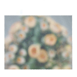 Literie domestique Moustiquaire décorative Anti-moustique - Product Image 2