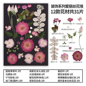 22-36 piezas/paquete flor prensada Asst. Bolsa para MARCO <span class=keywords><strong>DE</strong></span> ARTE Decoración del hogar Vela <span class=keywords><strong>de</strong></span> Arte <span class=keywords><strong>de</strong></span> resina - Product Image 6