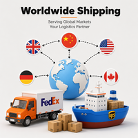 Logistikdienstleistungen Luftexpress durch DHL UPS Fedex DDU nach Costa Rica Burkina Faso Guatemala Belize Versandagent in China