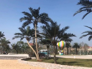 Sống động như thật khổng lồ nhiệt đới Faux cây cọ lá lớn nhân tạo cong cây cọ dừa để bán cho khách sạn trung tâm mua sắm trang trí nội thất - Product Image 2