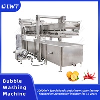 Laveuse de légumes à rouleaux brossés LWT pour le nettoyage et le pelage des choux-fleurs, du gingembre, du manioc, des radis – Machine de traitement des aliments et des fruits