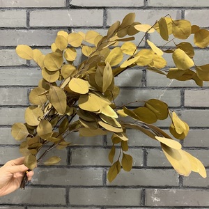 Venta al por mayor directa de fábrica, oferta para decoración de boda, plantas en conserva para siempre, follaje de <span class=keywords><strong>hojas</strong></span> de <span class=keywords><strong>eucalipto</strong></span> - Product Image 2