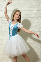 Robe de tutu de ballet en velours bleu pour filles, manches bouffantes, vêtements de danse pour enfants, costume de scène classique