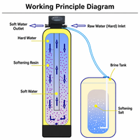 Sistema Automático de Ablandamiento de Agua Dura de 500 LPH con PLC para Uso Doméstico e Industrial, Tecnología de Resina de Intercambio Iónico y Regeneración