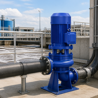 Pompe à eaux usées verticale 65LW35-60-15 pour élevage, 15KW 35m³/h, en fonte, pour aquaculture, construction et traitement des eaux usées