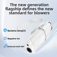 Sèche-cheveux portable intelligent ABS à collier de maintien avec protection contre la surchauffe pour le bain et le toilettage des chats et des chiens