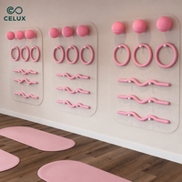 Kit de fitness éco-responsable pour yoga et Pilates avec ballon de yoga, anneau de Pilates, poids de cheville en silicone, bandes d'étirement et de résistance