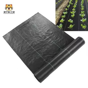 Malla Antihierbas de Plástico para Agricultura, Cubierta de Suelo de Polipropileno, Económica de Fábrica - Product Image 2