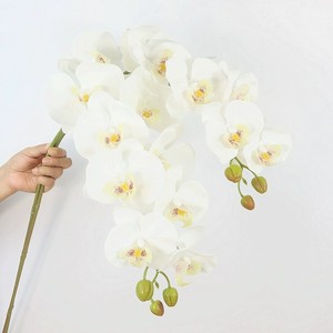 ดอกกล้วยไม้ฟาแลนนอปซิส 9 หัว ยี่ห้อ Haiyi ดอกไม้ประดิษฐ์จากผ้าไหม สำหรับตกแต่งงานแต่งงานและบ้าน - Product Image 2
