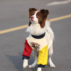 겨울용 따뜻한 신축성 니트 애완동물 스웨터 개와 고양이용 단색 풀오버 후디 편안한 캐주얼 스타일 - Product Image 2