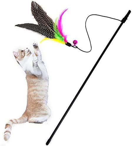 Simulation Bird Interactive Funny Feather Bird