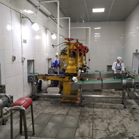 Ligne de production de machines de dépalettisation pour la mise en conserve de petits thons, projet clé en main
