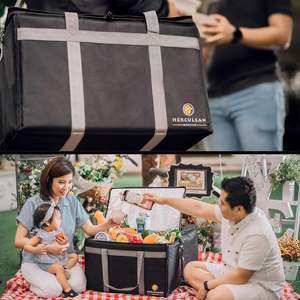 Custom Foldable Insulated Disposable Food Pizza Delivery <b>Bag</b> <b>Lunch</b> <b>Bag</b> Picnic Cooler <b>Bag</b> with logo Printed - Product Image 6