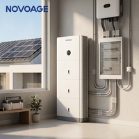 Sistema de Almacenamiento de Energía Solar Doméstico Todo en Uno de 15KWH, Batería LiFePO4 de 5-10KW con Diseño Híbrido Apilable para Novoage Gemini